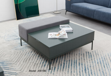 Modern Storage Coffee Table