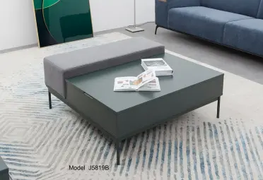 Modern Storage Coffee Table