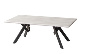 Alpha Coffee Table - CT-182