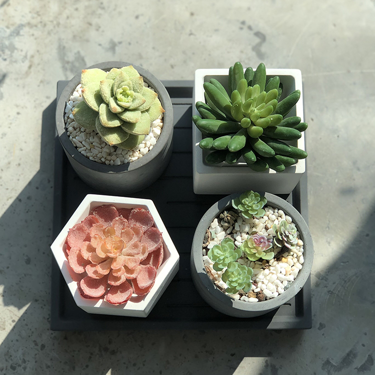 New design storage and finishing combination suit design cement concrete tray organizer plates