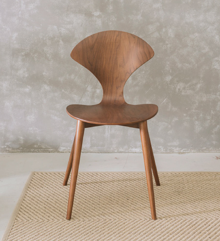 Modern Bentwood Chair