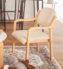 Modern Creative Bentwood Chair