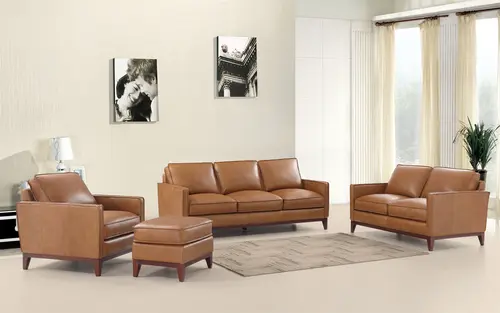 6394  Moder Light Luxury Sofa Set