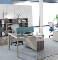 Modern 2 seater staff  table
