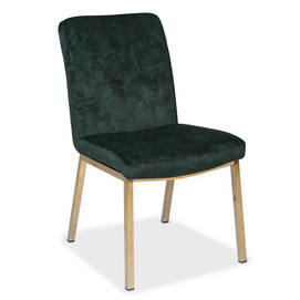 Dining Chair DX-2050