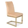 Dining Chair DX-2049