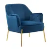 Luxury Fabric Velvet Arm Peacock Leisure Lounge Accent Chair