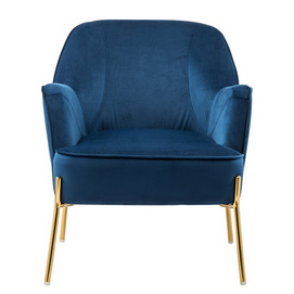 Luxury Fabric Velvet Arm Peacock Leisure Lounge Accent Chair