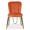 Dining Chair DR-20091C
