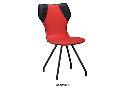 H67  Modern Stylish Dining Chair