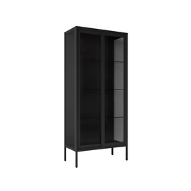 Black glass bookcase steel cabinet