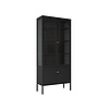 Black steel glass household lockers