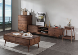 Solid Wood Living Room Furniture Set