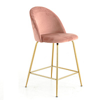 Dining Chair DR- 301 Set