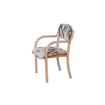 TDC-196 Modern Minimalist Dining Chair