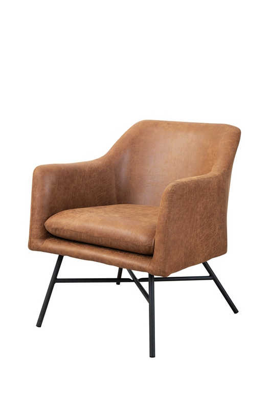 Accent Chair Lounge Chair Leisure Sofa Vintage design