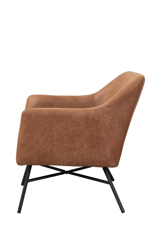 Accent Chair Lounge Chair Leisure Sofa Vintage design