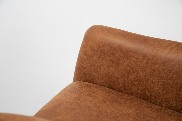 Accent Chair Lounge Chair Leisure Sofa Vintage design