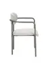 Armrest leisure chair/Fabric leisure chair/dining chair