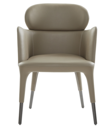 New design Leisure Elegant Chair YC-07
