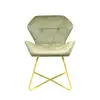 Designer Velvet Upholstered Restaurant Dining Chair,Hotel Modern Coffee Chair With Gold Leg
