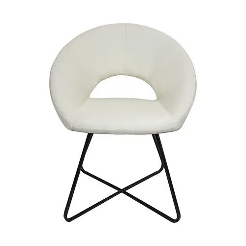 Modern simple dining chair