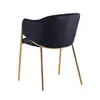 Black And Golden Leg Dining Chairs - FYC141