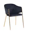 Black And Golden Leg Dining Chairs - FYC141