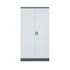 Steel Office Filing Cabinet Large Capacity New Fashion Steel Cabinet with Two Doors