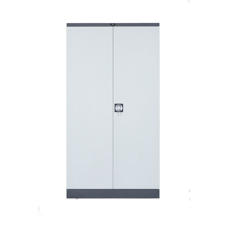 Steel Office Filing Cabinet Large Capacity New Fashion Steel Cabinet with Two Doors