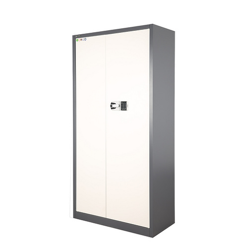 Office furniture 2 door modern steel godrej cupboard design