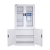 Metal and Glass Cabinets Lockable Cabinet with Door