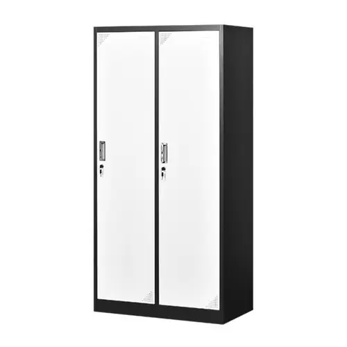 Smart Metal Storage Cabinet Steel Lockers Home Depot Tall Locker with 2 Doors
