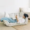 Recliner Sofa & Sofa Bed