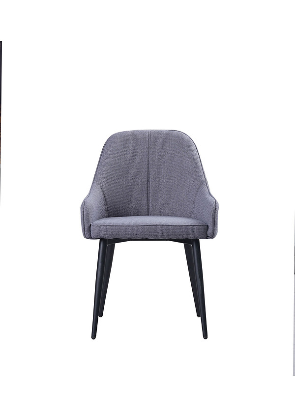 Modern Grey Dining Chairs-FYC205