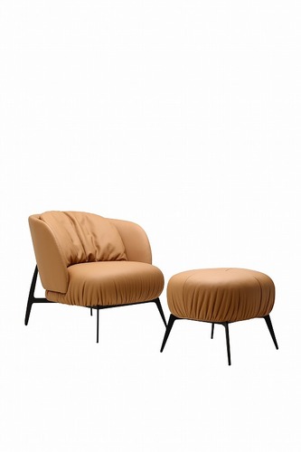 Lounge chair & Ottoman EC-230