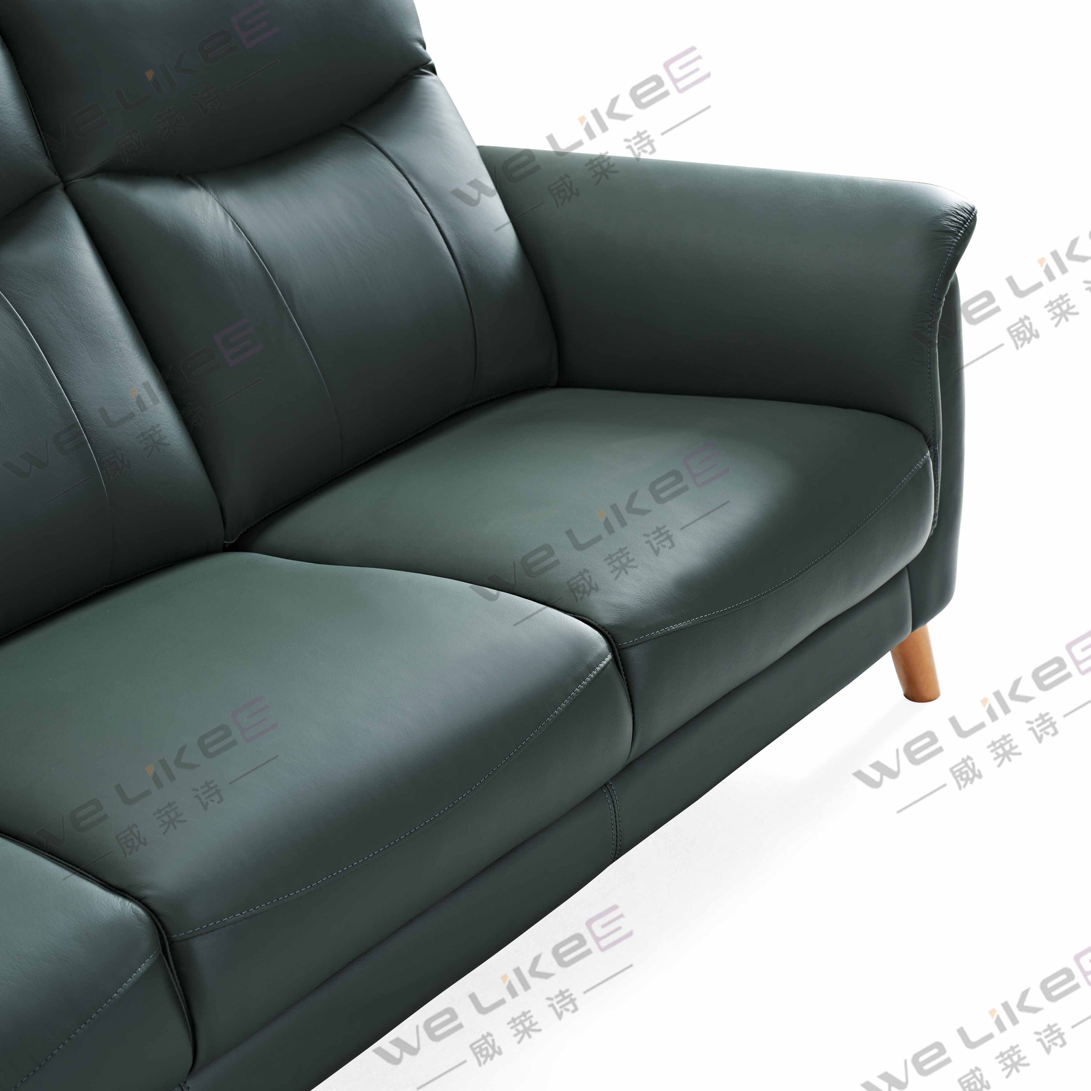 Leather Sofa-Welikes ZM851
