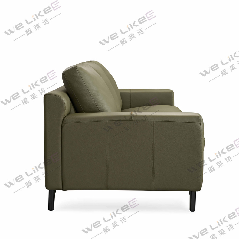 Leather Sofa-Welikes ZM850