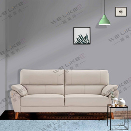 Leather Sofa-Welikes ZM853