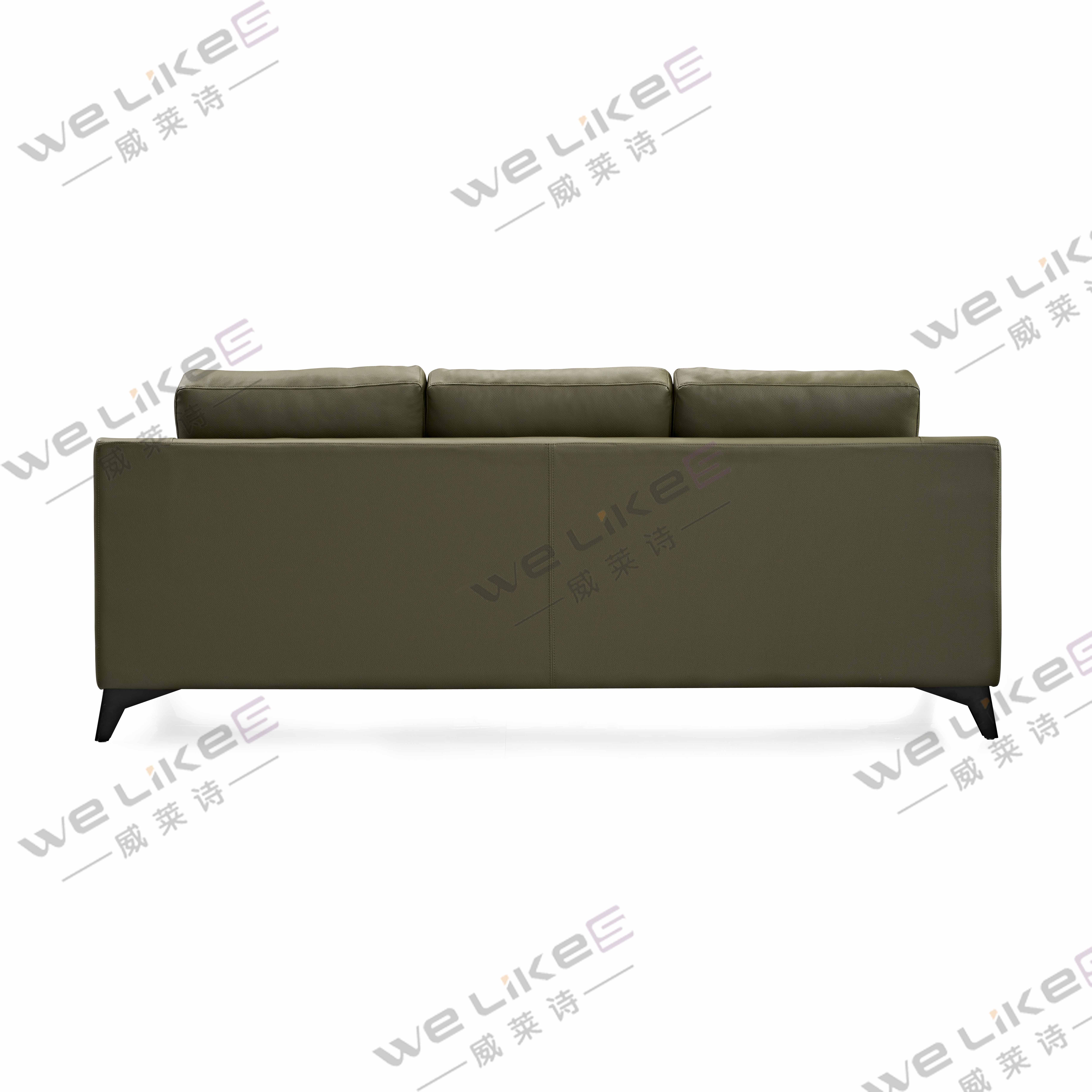 Leather Sofa-Welikes ZM850