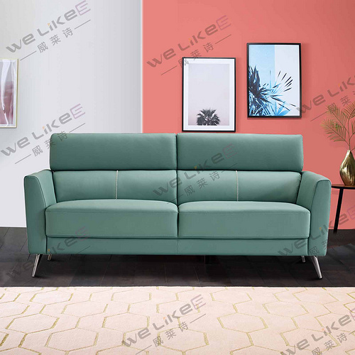 Leather Sofa-Welikes ZM859