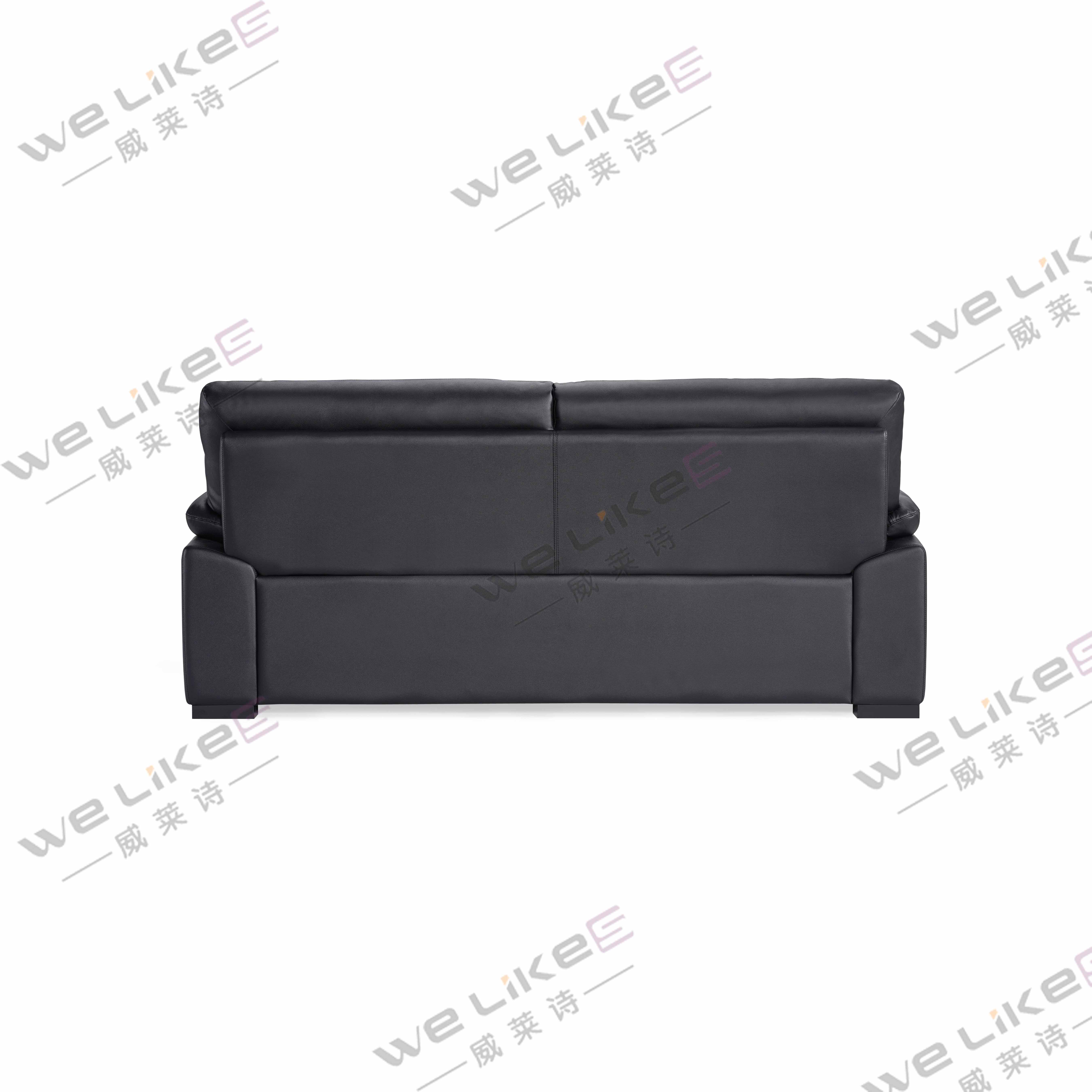 Leather Sofa-Welikes ZM858
