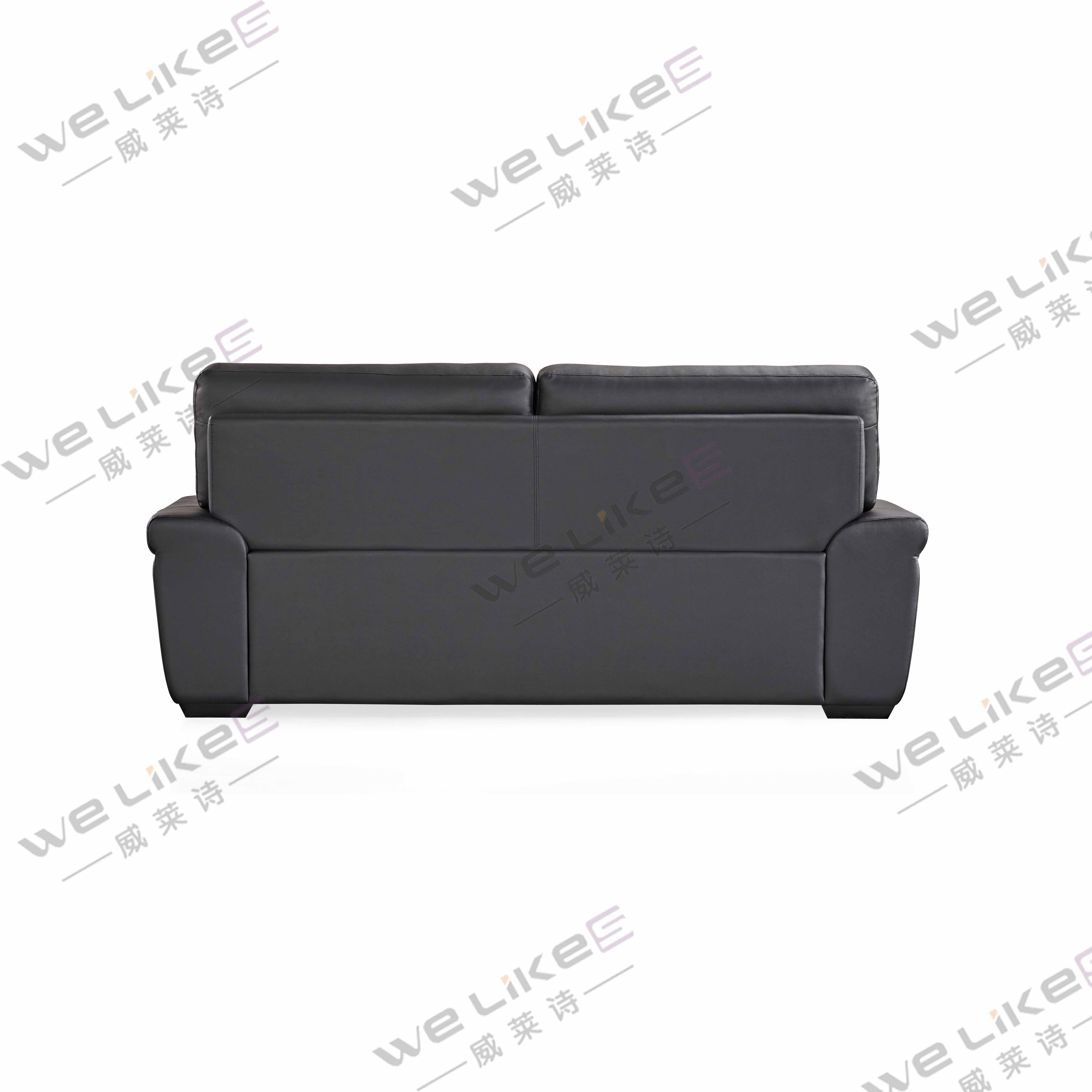 Leather Sofa-Welikes ZM856