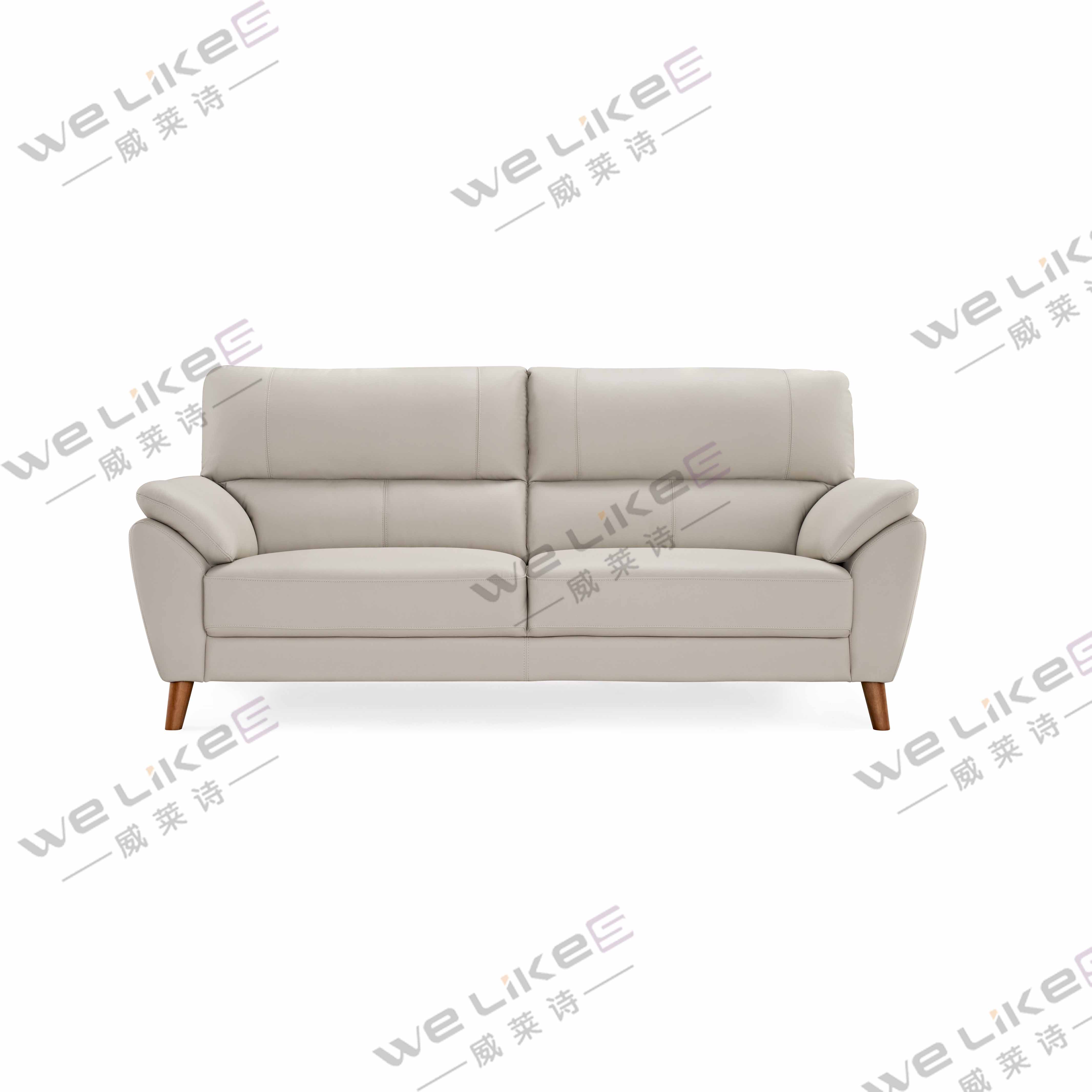 Leather Sofa-Welikes ZM853