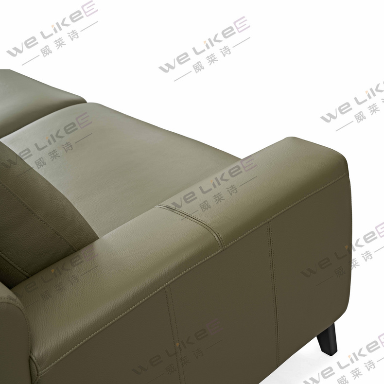 Leather Sofa-Welikes ZM850