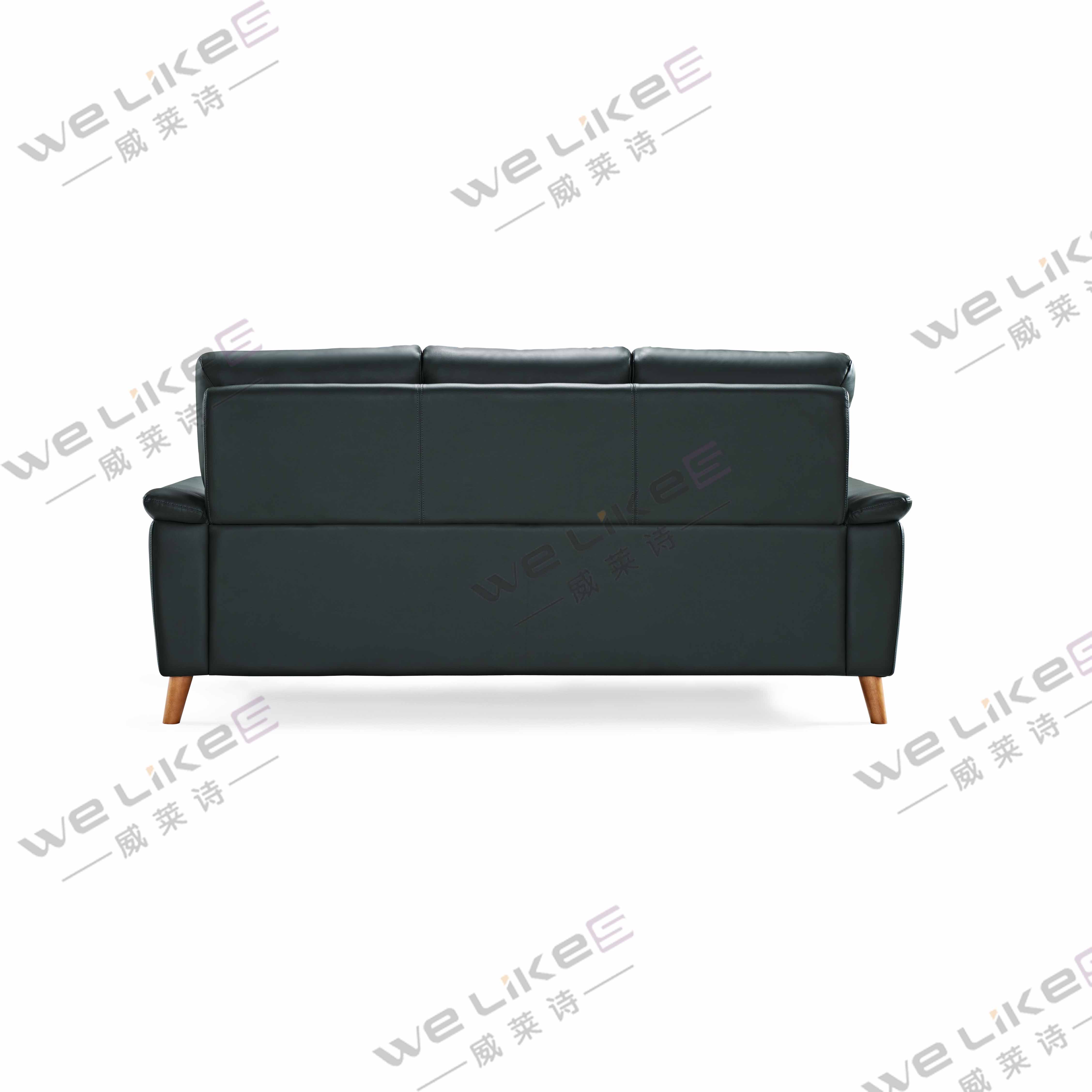 Leather Sofa-Welikes ZM851