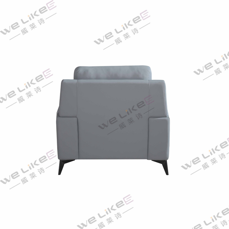 Leather Sofa-Welikes ZM817