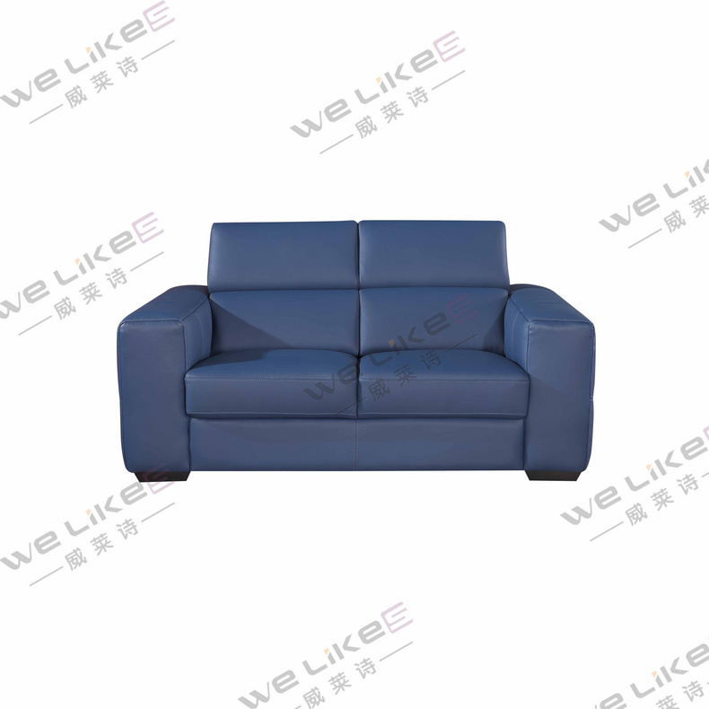 Leather Sofa-Welikes ZM819