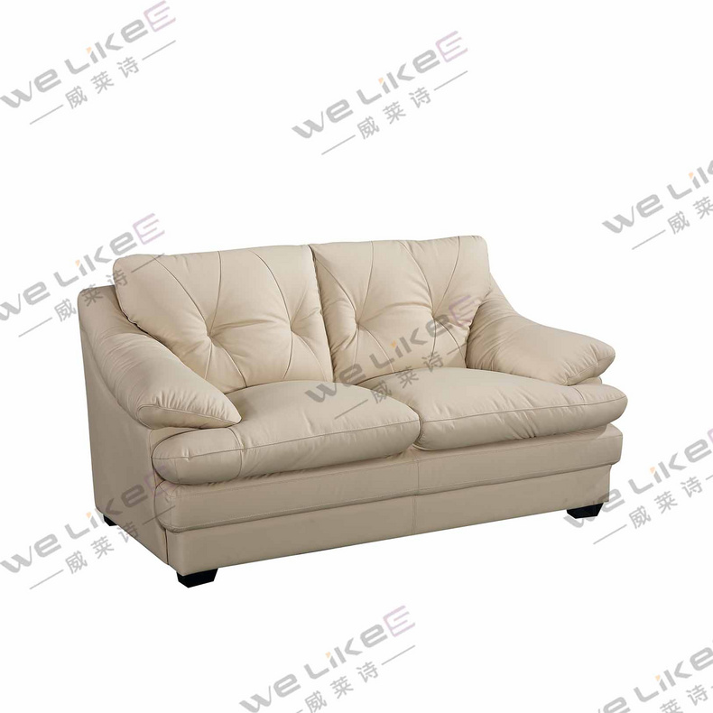 Leather Sofa-Welikes ZM837