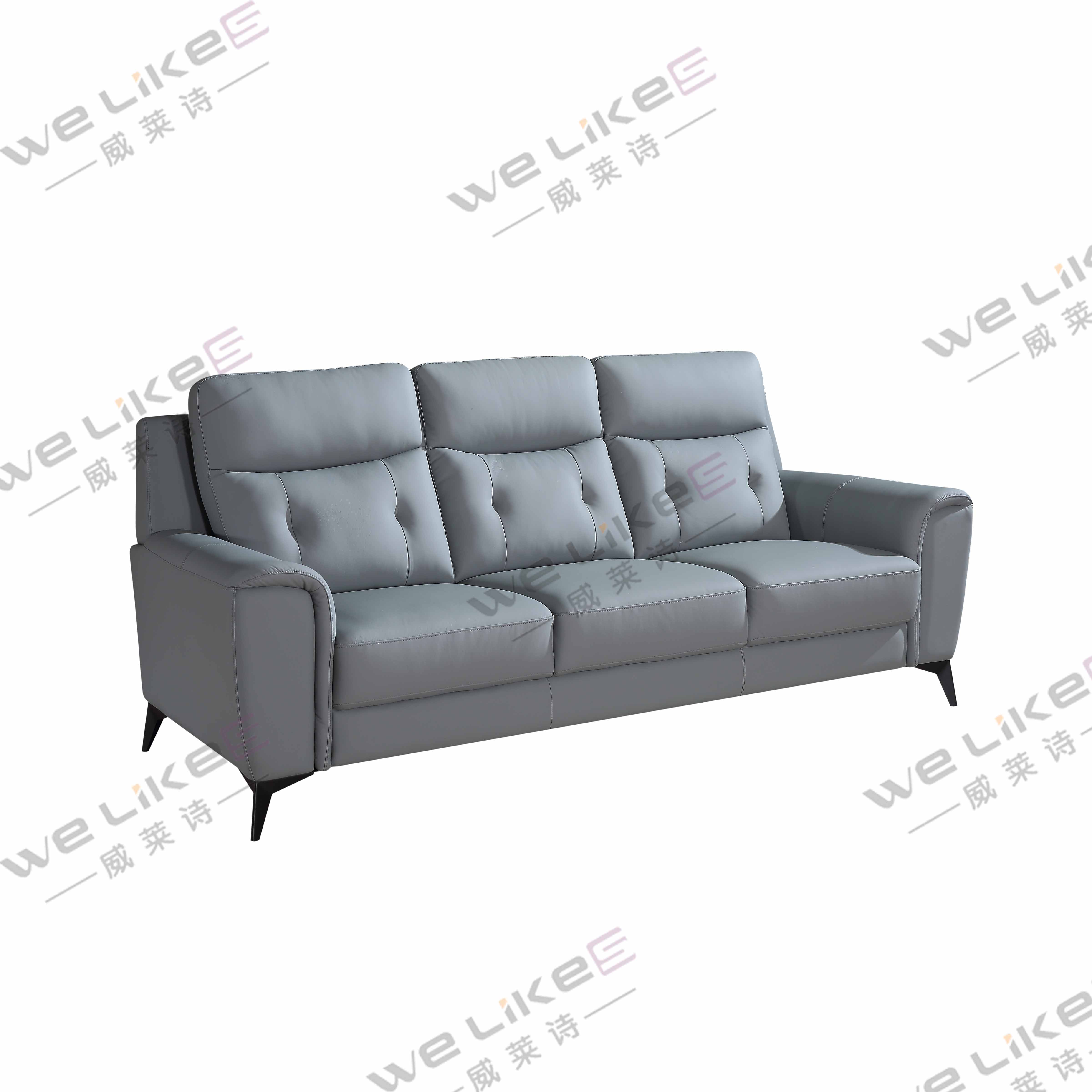 Leather Sofa-Welikes ZM817